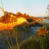 фото из отзыва ID 1205406