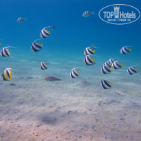 фото из отзыва ID 1205416