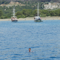 фото из отзыва ID 1204961