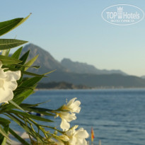 фото из отзыва ID 1204961