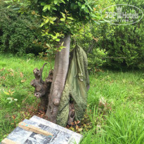 фото из отзыва ID 1204663