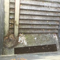 фото из отзыва ID 1204663