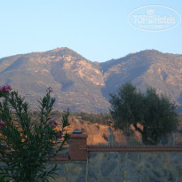 фото из отзыва ID 1205905