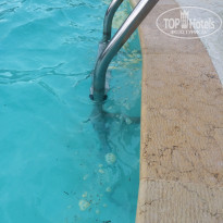 фото из отзыва ID 1206057