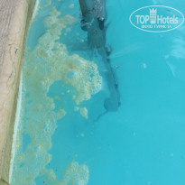 фото из отзыва ID 1206057