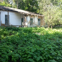 фото из отзыва ID 1205526