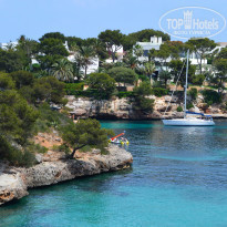 фото из отзыва ID 1206136