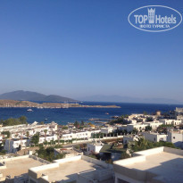 фото из отзыва ID 1206090