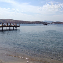 фото из отзыва ID 1206090