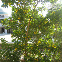 фото из отзыва ID 1206252