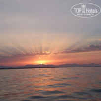 фото из отзыва ID 1206371