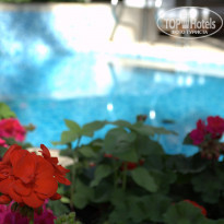 фото из отзыва ID 1206482