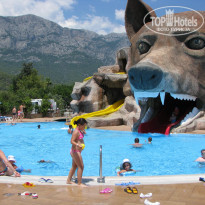 фото из отзыва ID 1206503