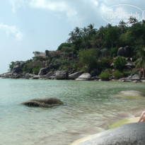 фото из отзыва ID 1206548