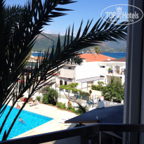 фото из отзыва ID 1206594