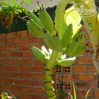 фото из отзыва ID 1206654