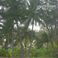 фото из отзыва ID 1206654