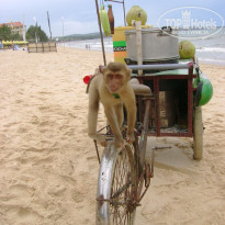 фото из отзыва ID 1206654