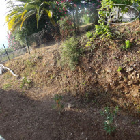 фото из отзыва ID 1206706