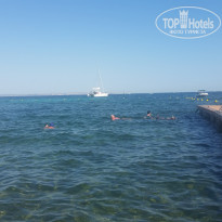 фото из отзыва ID 1206725