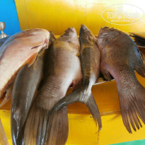 фото из отзыва ID 1206757