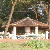 фото из отзыва ID 1206757