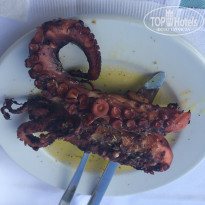 фото из отзыва ID 1206919