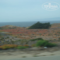 фото из отзыва ID 1207106