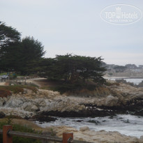 фото из отзыва ID 1207106