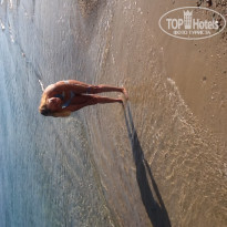 фото из отзыва ID 1207258