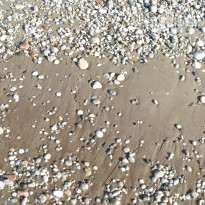 фото из отзыва ID 1207364