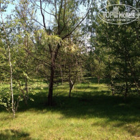 фото из отзыва ID 1207404