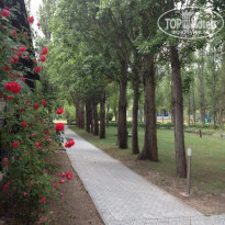 фото из отзыва ID 1207404