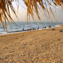 фото из отзыва ID 1207404