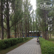 фото из отзыва ID 1207404