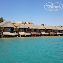 фото из отзыва ID 1207393