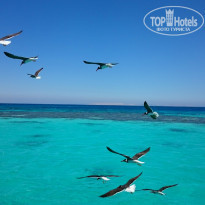 фото из отзыва ID 1207393