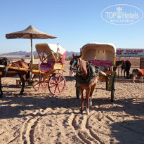 фото из отзыва ID 1207393