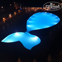 фото из отзыва ID 1207726