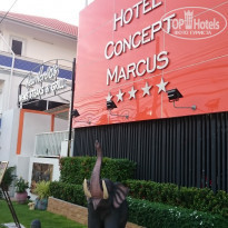 фото из отзыва ID 1208041