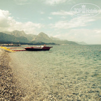 фото из отзыва ID 1208202