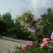 фото из отзыва ID 1208283