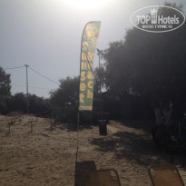 фото из отзыва ID 1208378