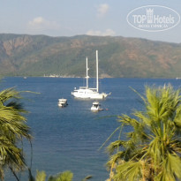 фото из отзыва ID 1208379