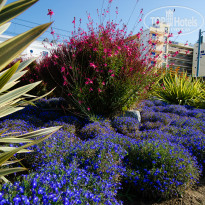 фото из отзыва ID 1208444