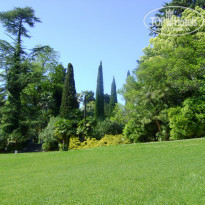 фото из отзыва ID 1208513