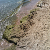 фото из отзыва ID 1207669