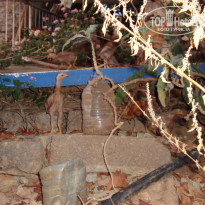 фото из отзыва ID 1208541