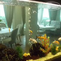 фото из отзыва ID 1208547