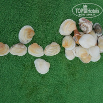 фото из отзыва ID 1208547